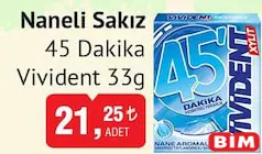VİVİDENT NANELİ SAKIZ 45 DAKİKA 33 G